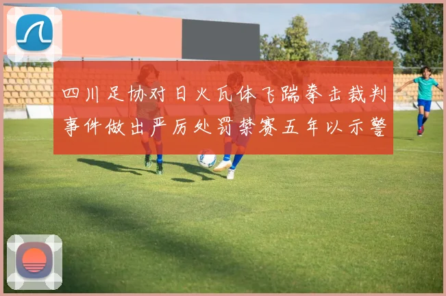 四川足协对日火瓦体飞踹拳击裁判事件做出严厉处罚禁赛五年以示警戒