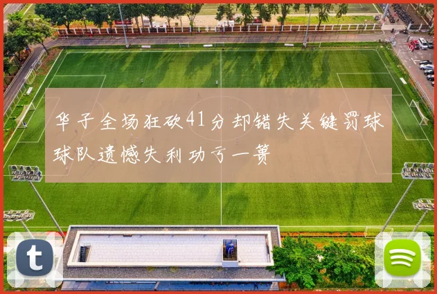 华子全场狂砍41分却错失关键罚球球队遗憾失利功亏一篑