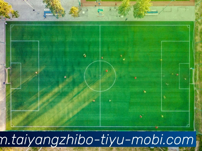 太阳城品牌故事