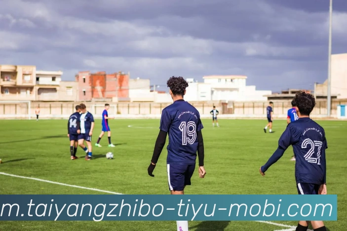 太阳城服务体系